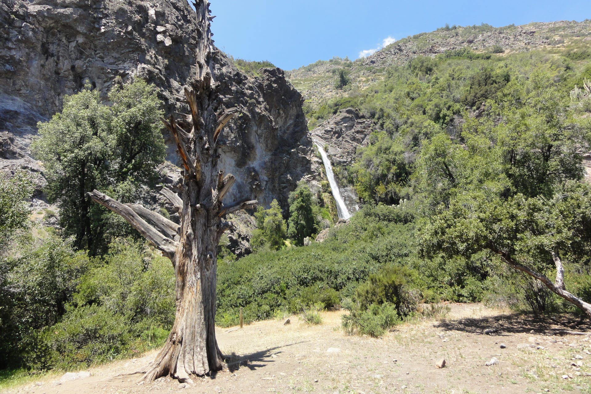 The Apoquindo waterfall dropping down a rock face surrounded by vegetation in Parque Natural Aguas de Ramón, Santiago.