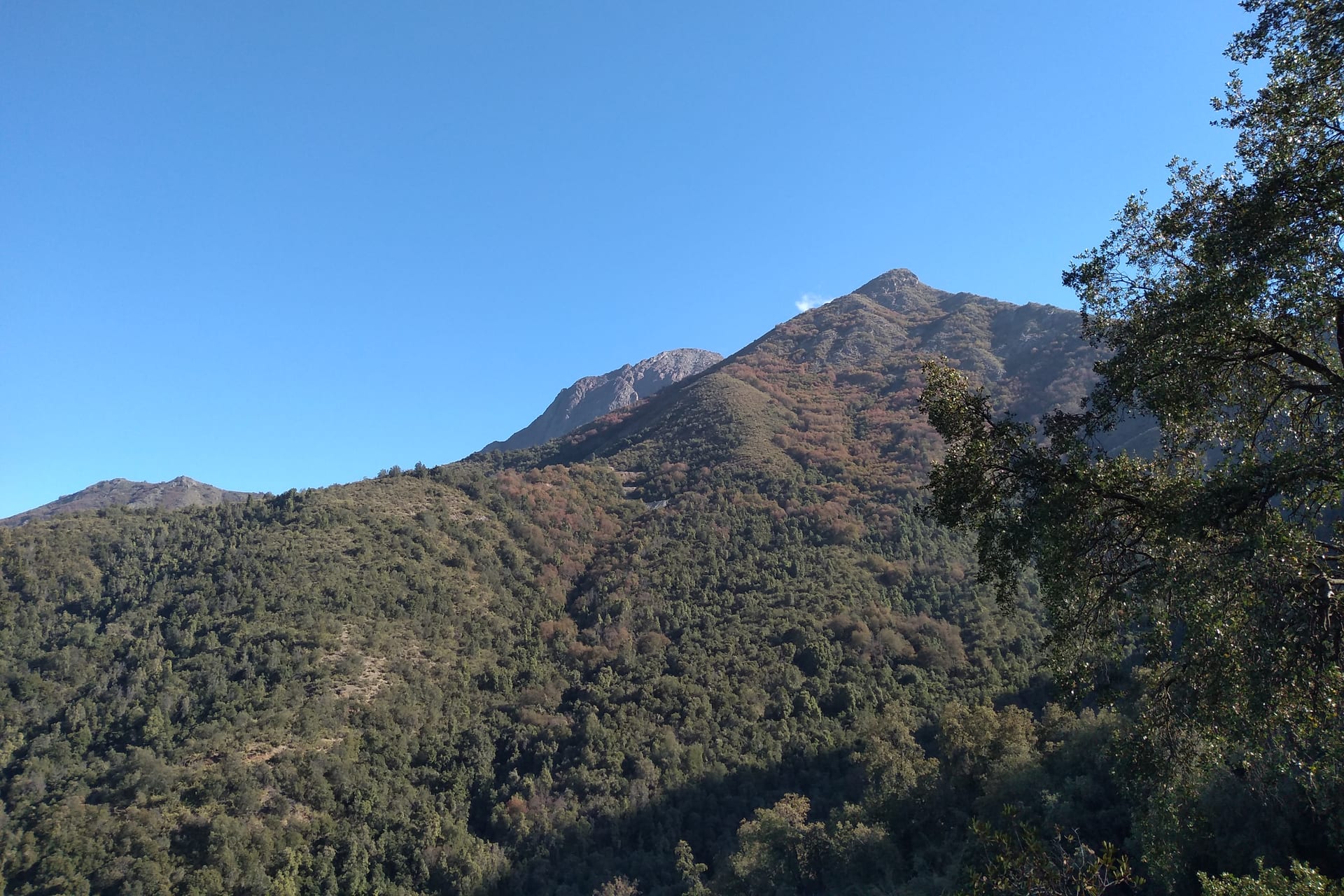 The summit of Cerro La Campana seen from the El Peumo trail, on the way to Portezuelo de Ocoa.