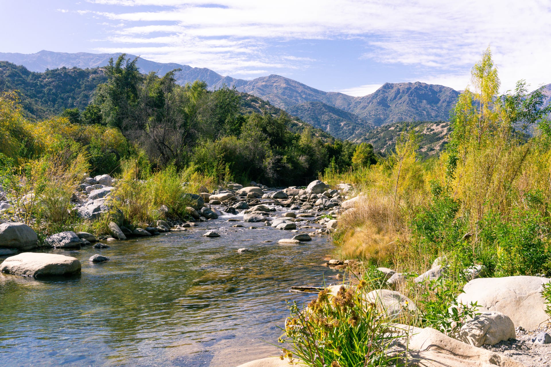 View towards the Andes from Río Clarillo National Park, with slopes covered in native forest.