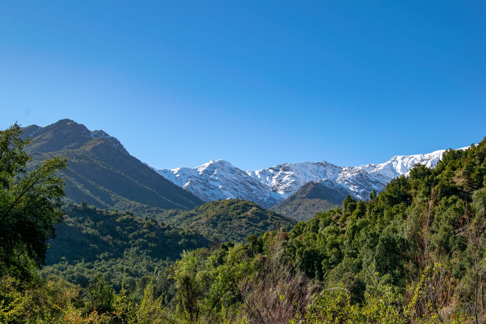 Trail among native trees in Río Clarillo National Park.