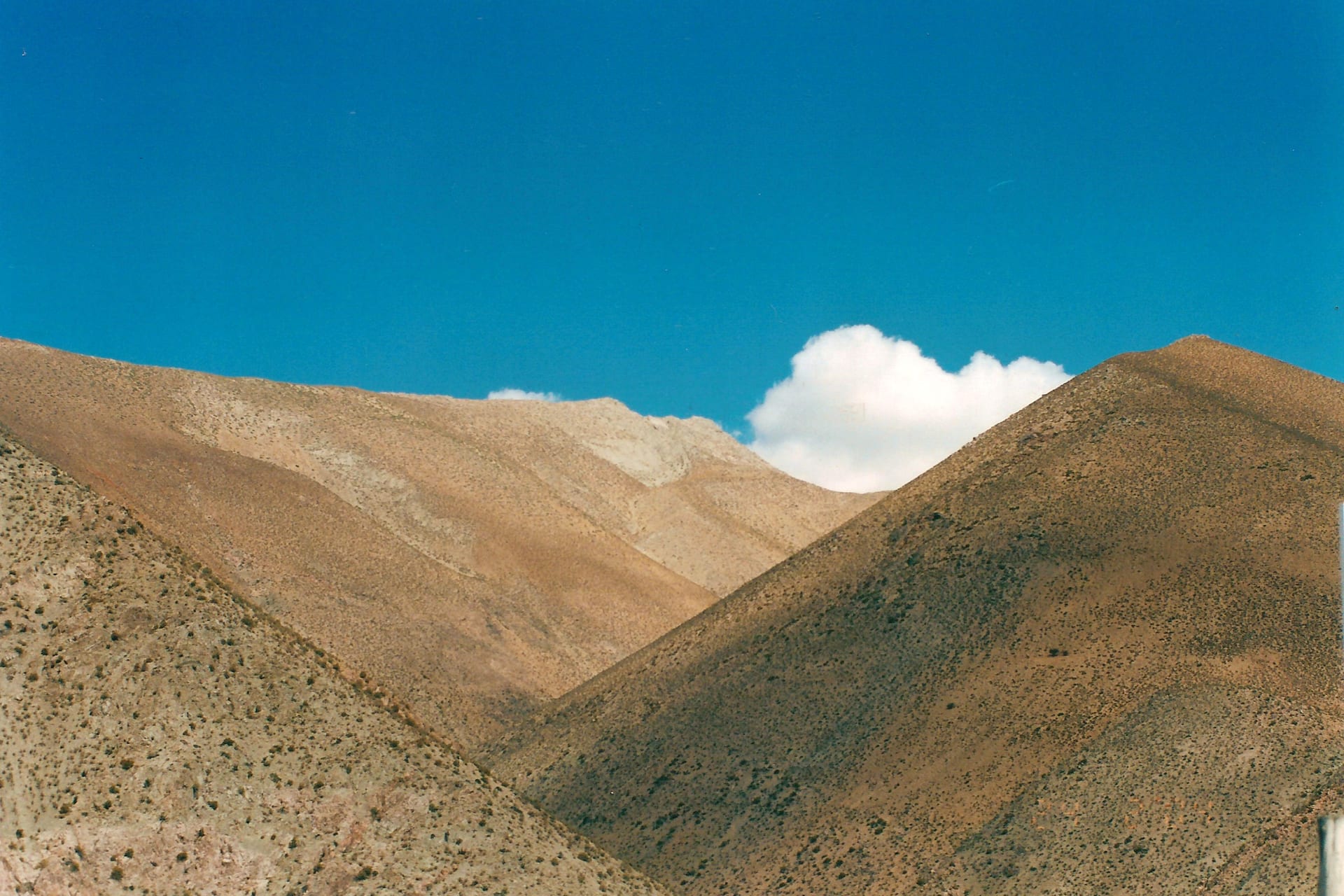 Golden hillsides of the Elqui Valley against a deep blue sky, in the Coquimbo Region.