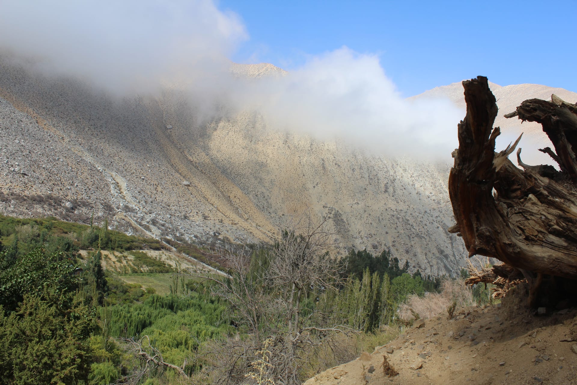 Dry hillside in the Elqui Valley with low cloud covering the ridge.