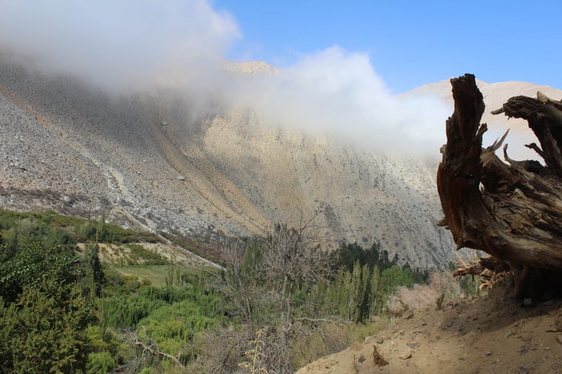Dry hillside in the Elqui Valley with low cloud covering the ridge.