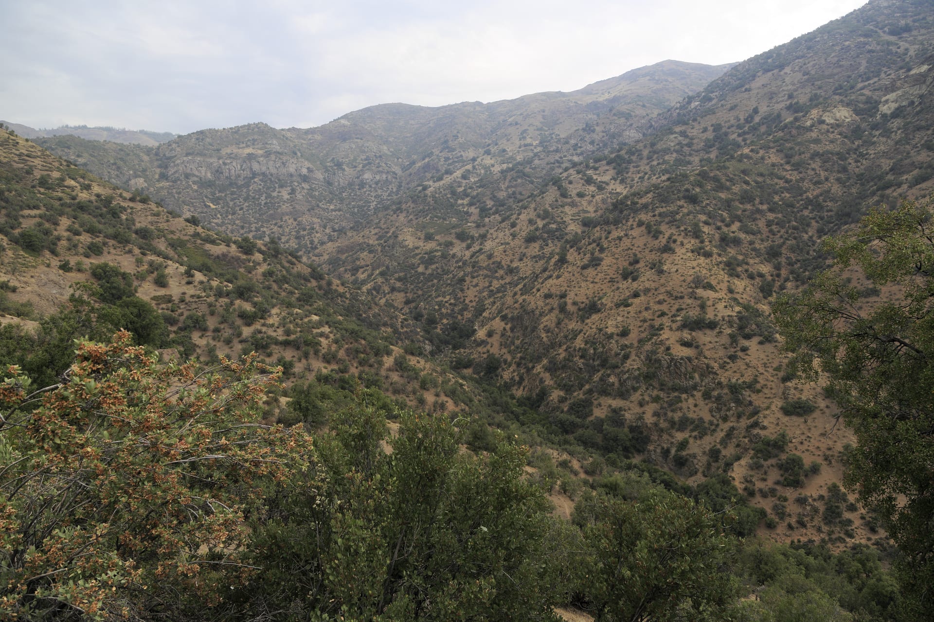 The Yerba Loca stream valley seen looking downhill, with high mountain slopes on both sides.