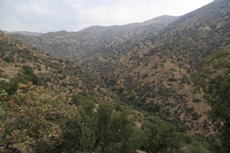 The Yerba Loca stream valley seen looking downhill, with high mountain slopes on both sides.
