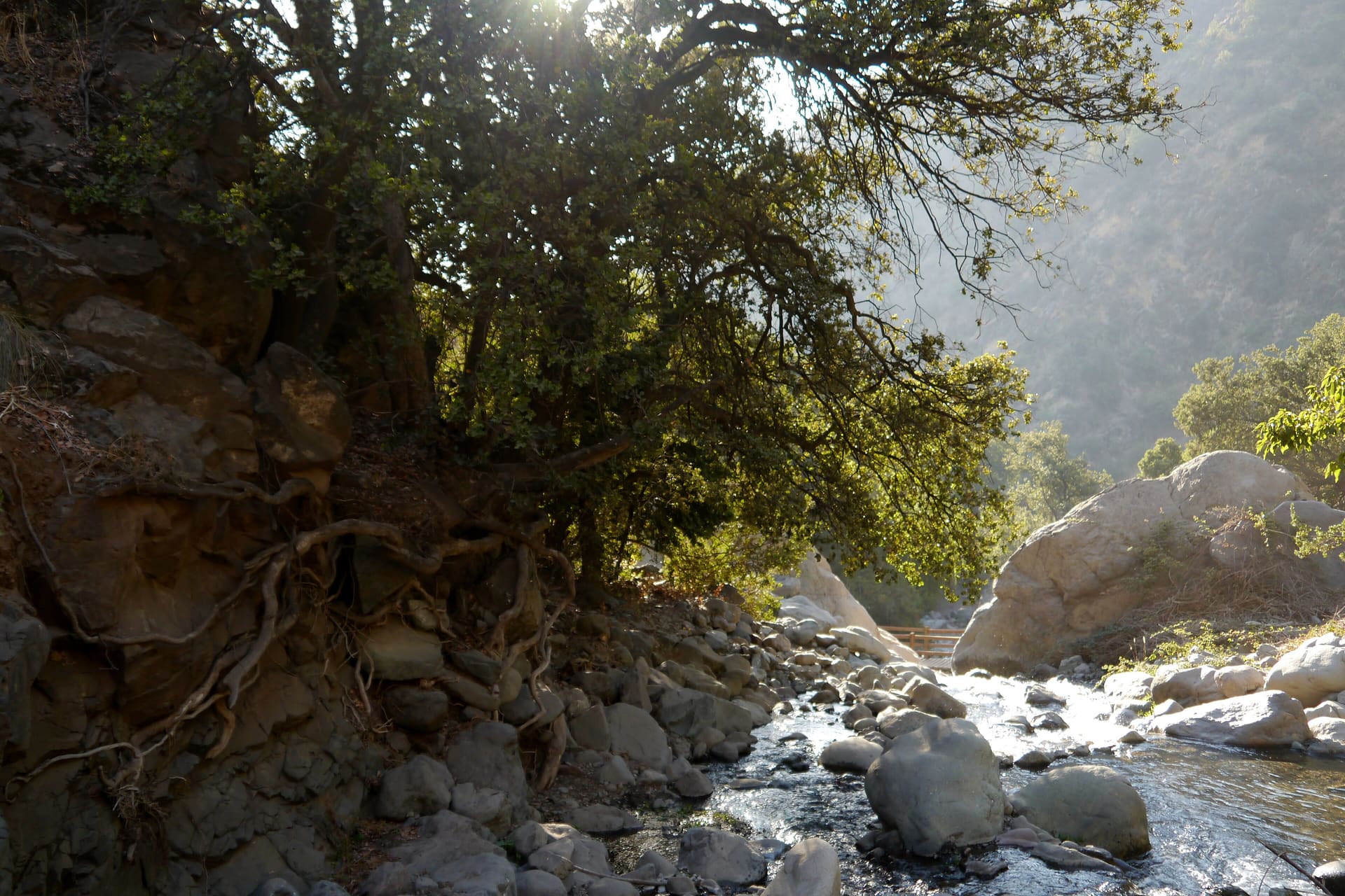 A stream running over stones through native forest in Aguas de Ramón Natural Park, with sunlight through the trees.